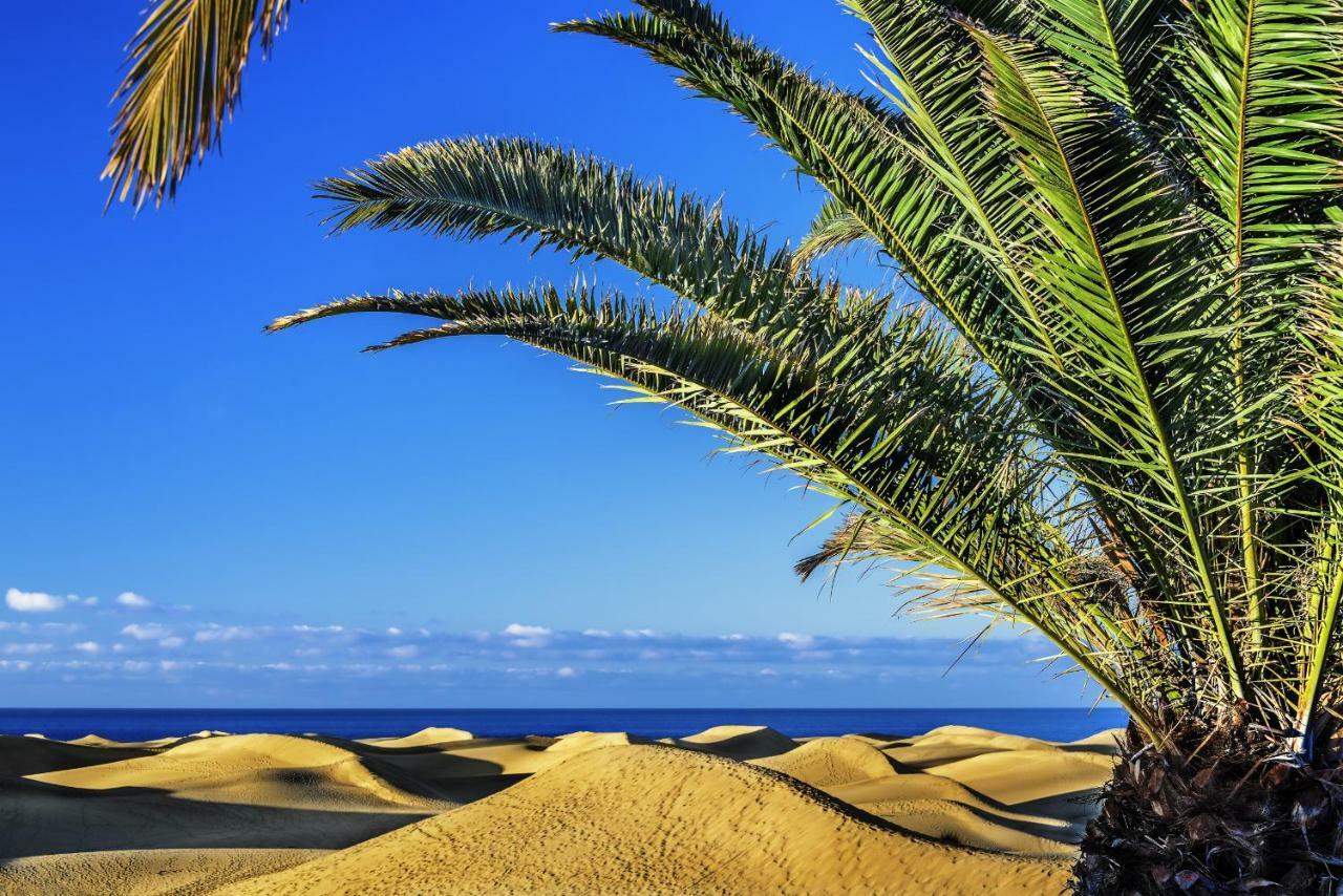 Las Adelfas South Beach 1 By Canariasgetaway San Agustín Dış mekan fotoğraf